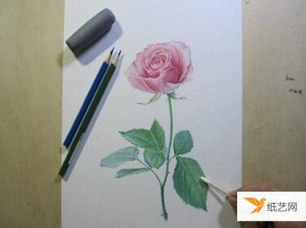 Share a step-by-step tutorial on how to draw roses with colored pencils