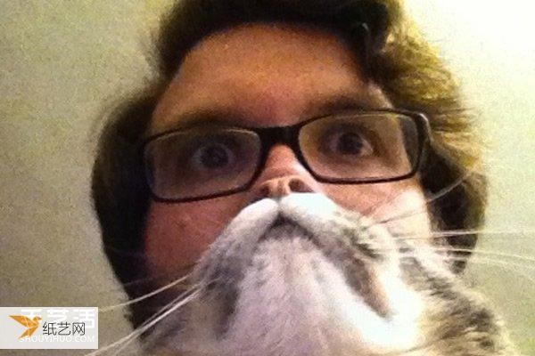 Very funny selfie photos using pet cats to take cute bearded photos