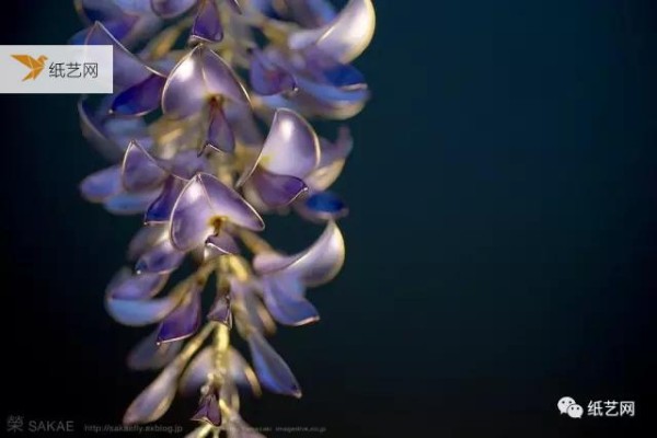 A piece of iron wire and a small box of flower-making liquid can make crystal clear flowers.