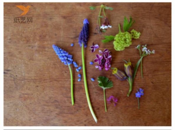 Tutorial on turning waste into treasure: a microscopic garden made of eggshells