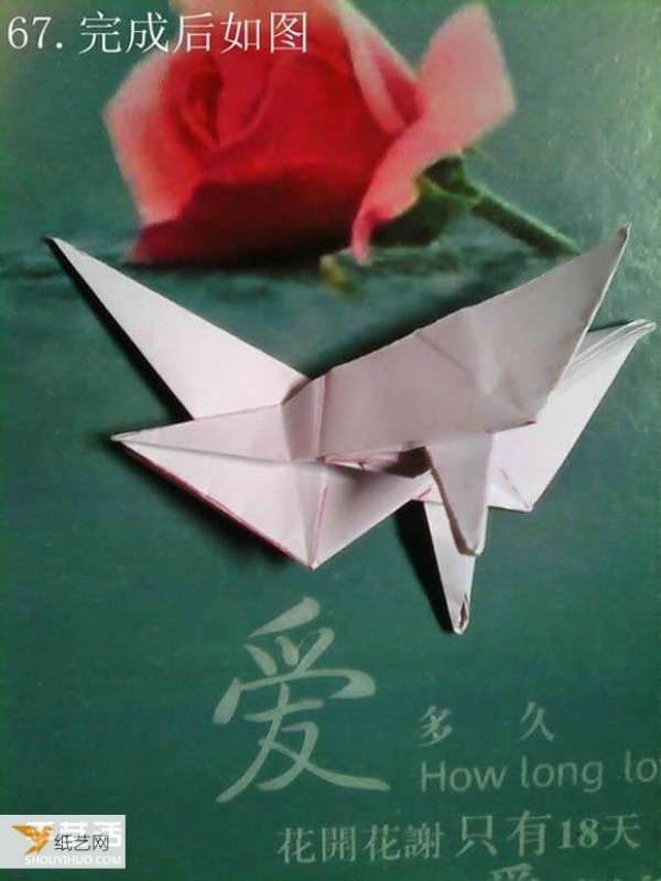 Tetsushi Kamiya’s illustrated tutorial on folding the complex three-dimensional Paper Pegasus