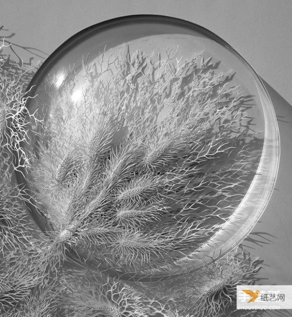 Three-dimensional paper sculptures created using bacterial crystals as inspiration