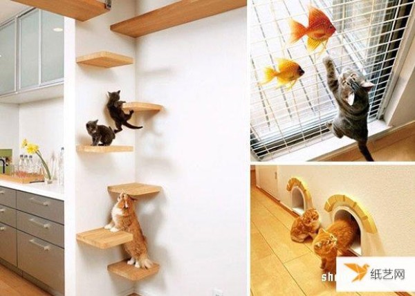 Turn human residence into a cat’s dream amusement park