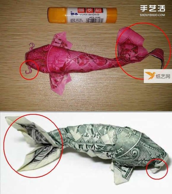 How to fold paper carp using dollars