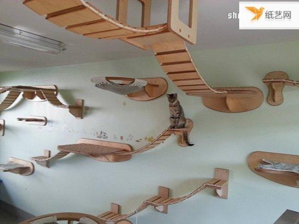 The unique cat climbing frame that makes cats and cats happy like an aerial paradise