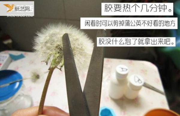 Tutorial on how to make personalized inlaid resin dandelion specimens