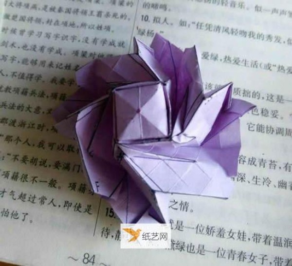 Detailed illustration of how to fold Beryl Rose