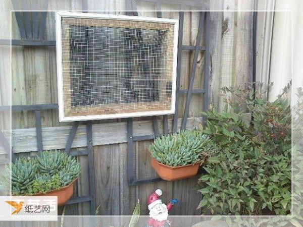 Succulent plant pots specially made from old picture frames