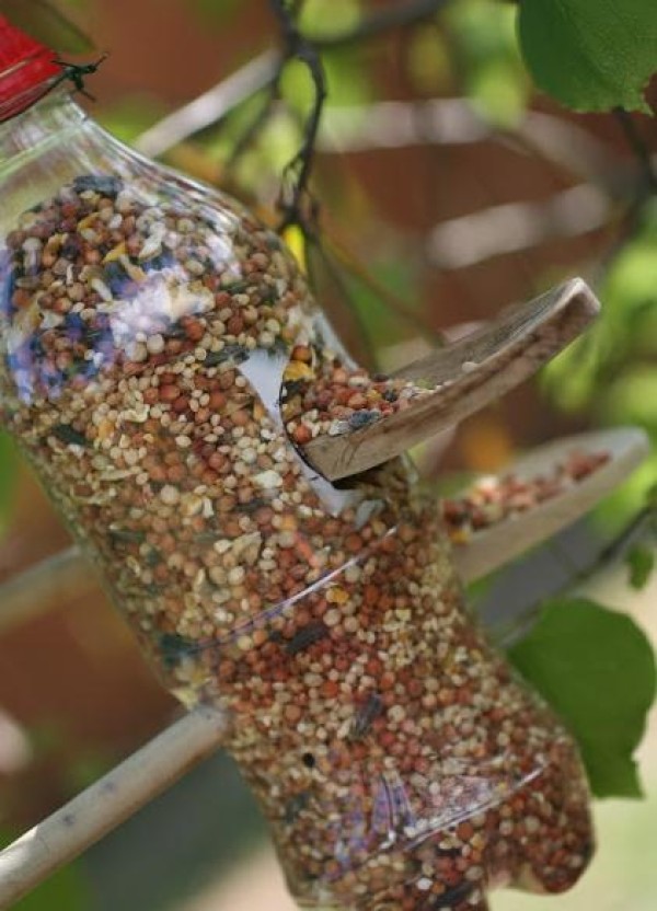 Tutorial on making an automatic bird feeder from waste beverage bottles