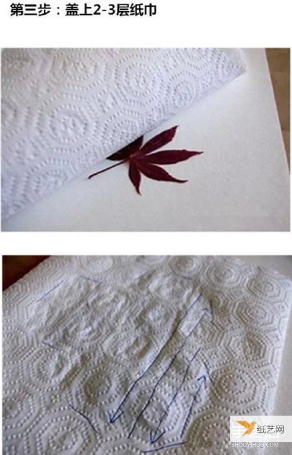 Detailed explanation of the steps and methods of making hand-made leaf rubbings with pictures