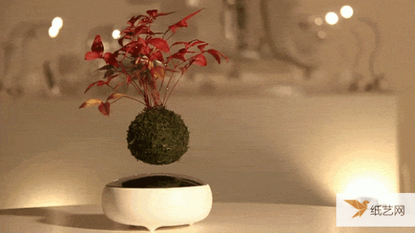 You must have never seen the AIR Bonsai floating Japanese bonsai