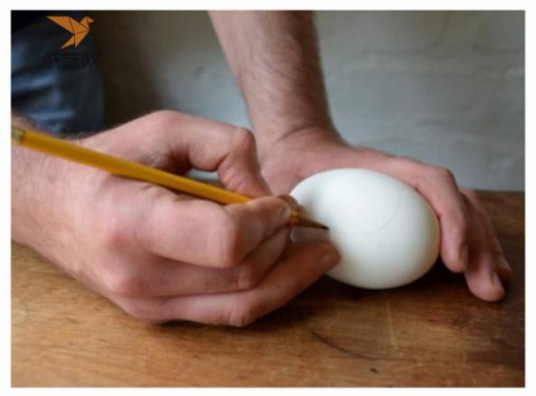 Tutorial on turning waste into treasure: a microscopic garden made of eggshells