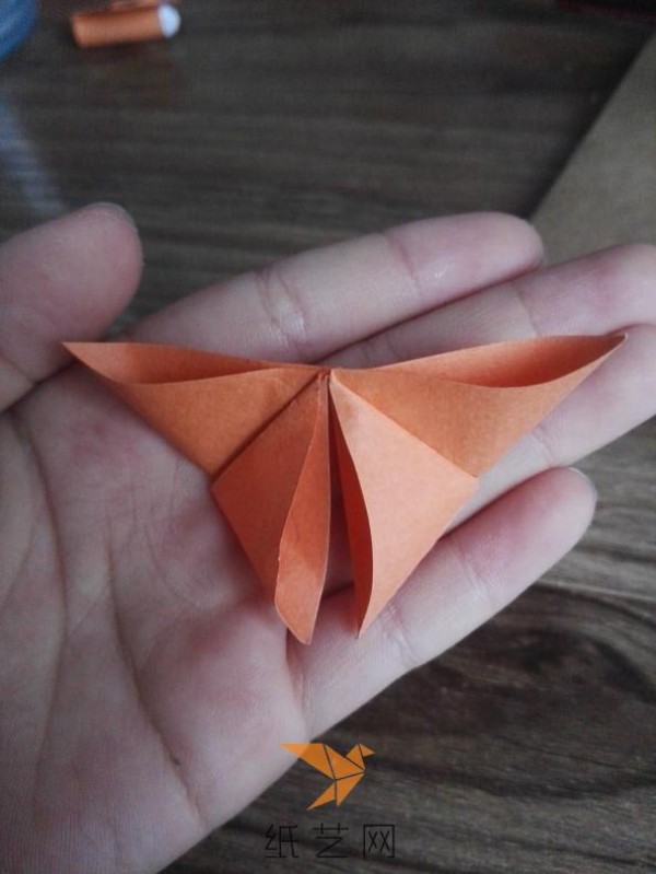 Beautiful origami butterfly