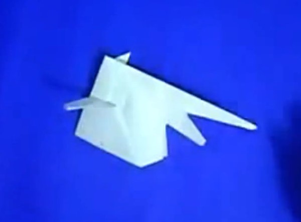 Origami Encyclopedia—Video tutorial on how to fold three-dimensional origami simulated fish