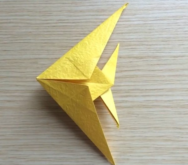 Origami Fish Collection - Origami Angel Fish Origami Video Tutorial