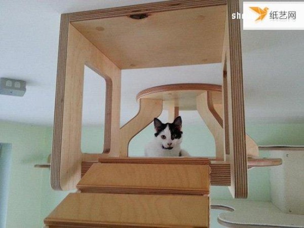 The unique cat climbing frame that makes cats and cats happy like an aerial paradise