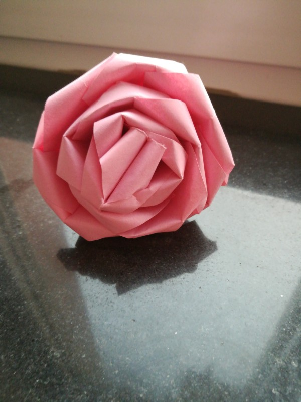 16 paper roll roses