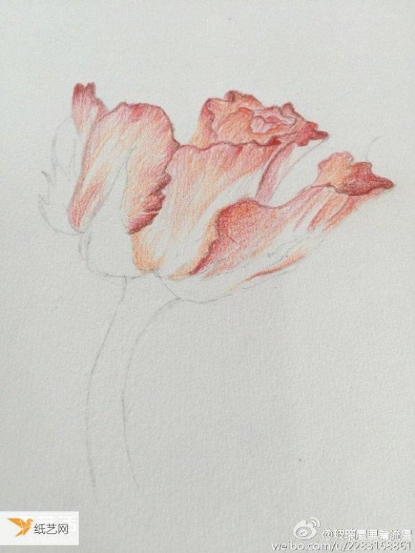 Step-by-step tutorial on how to draw flowers using colored pencils