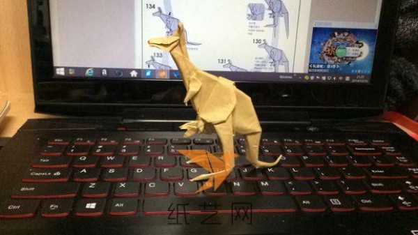 Origami Kangaroo Video Tutorial