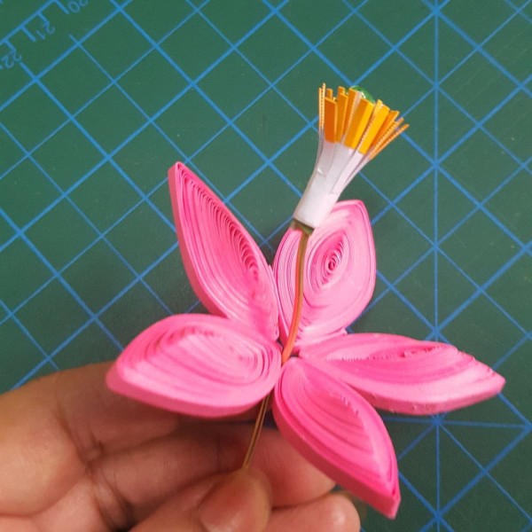 Paper quilling bouquet tutorial! Your favorite paper quilling tutorial is here! Simple lines can outline a different beauty!