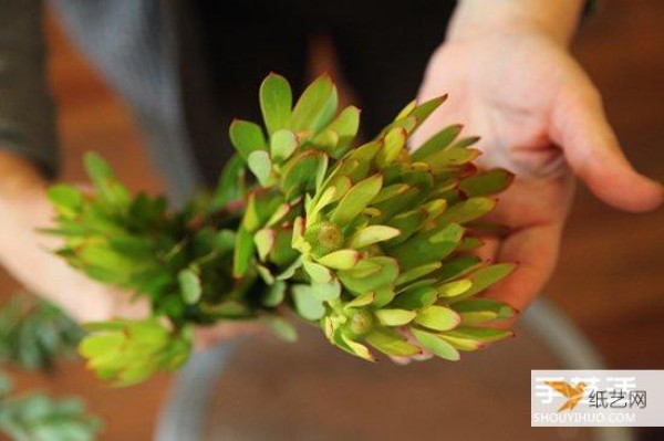 Illustrated method of using dead wood from waste to make personalized flower pots and forest-style flower arrangements.