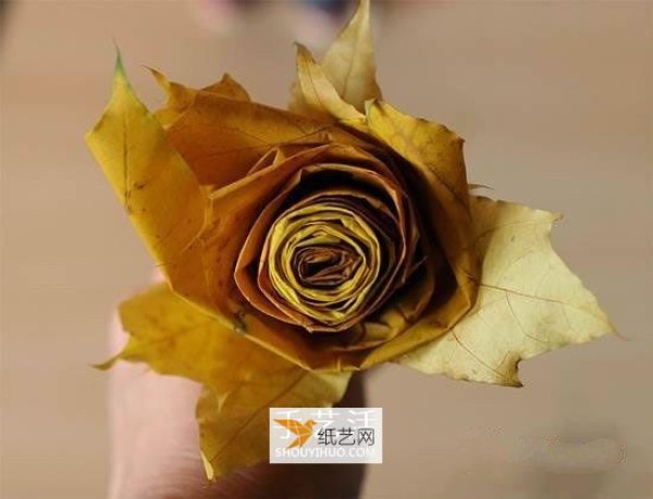 Tutorial on making simple roses using maple leaves