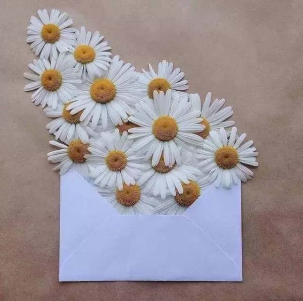 A piece of paper and a few flowers give you the most beautiful love letter