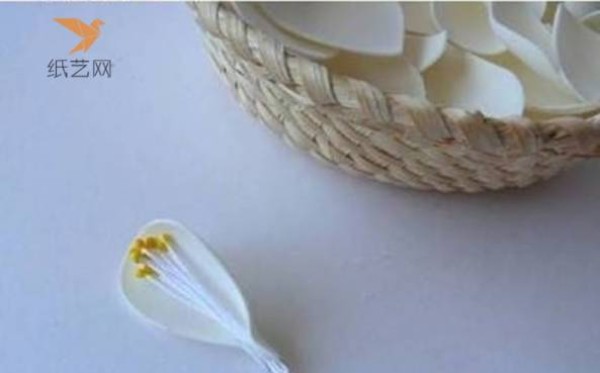 Nonwoven Tutorial Nonwoven White Begonia Bouquet DIY Making Tutorial