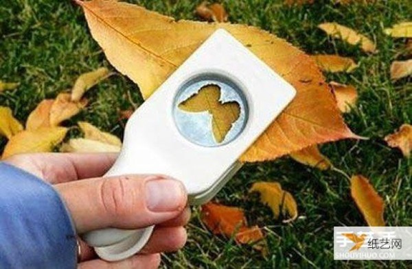 Use a hole punch to cut out creative leaf stickers in the shape you like.