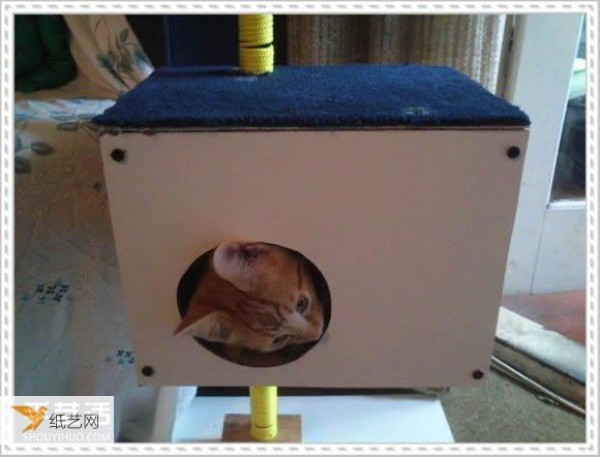 Tutorial on how to make your own personalized cat climbing frame