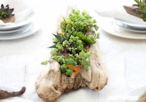 Turn waste into treasure by transforming discarded logs into succulent plant pots