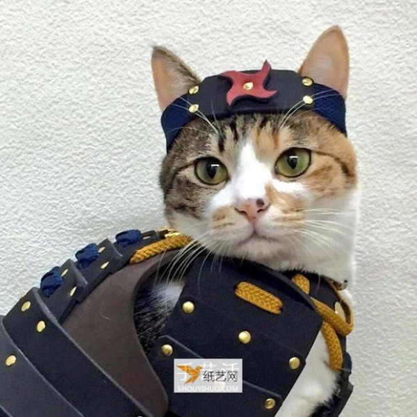 Use samurai armor to transform cute cats and dogs into handsome samurai adults