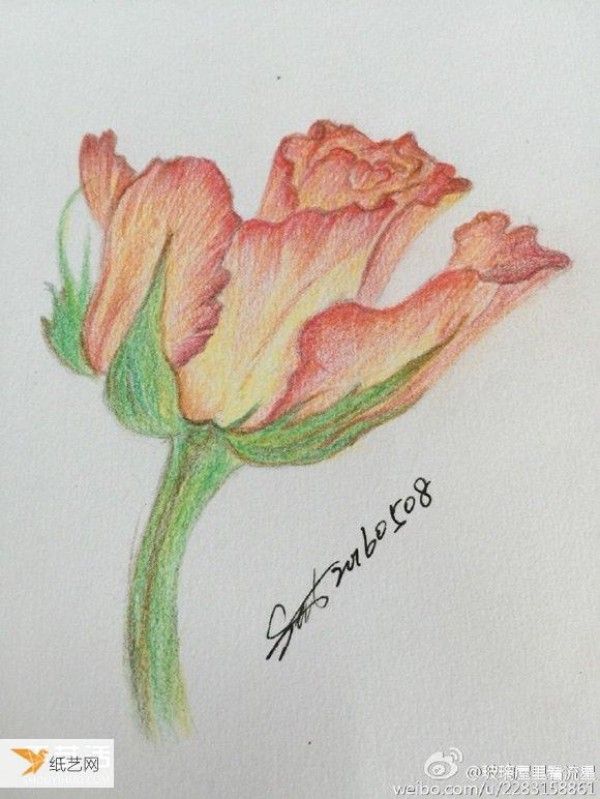 Step-by-step tutorial on how to draw flowers using colored pencils