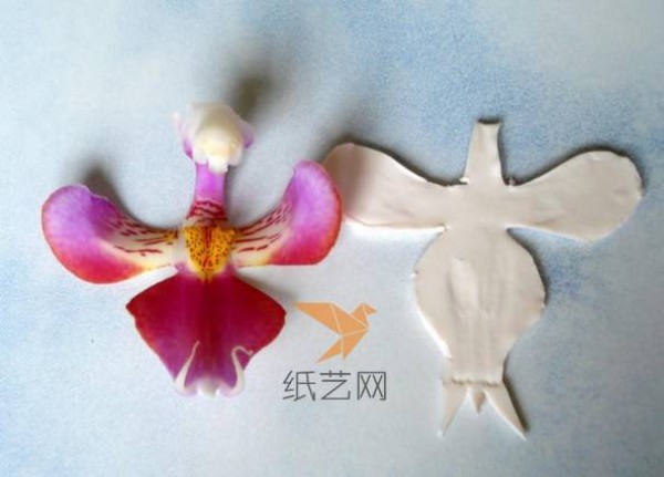 Tutorial on how to make Phalaenopsis artificial flowers made of ultra-light clay