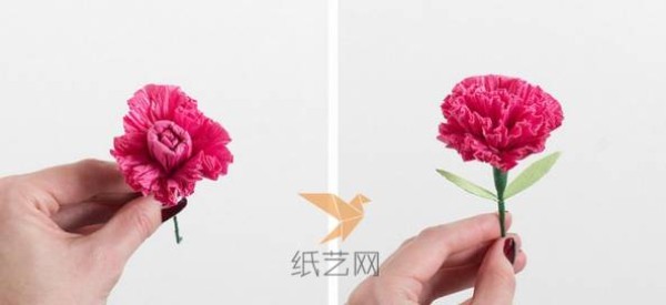 Mother’s Day Carnation Handmade Paper Flowers DIY Tutorial with Illustrated Steps