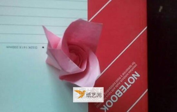 Take a look at the illustration of how to fold a champagne rose