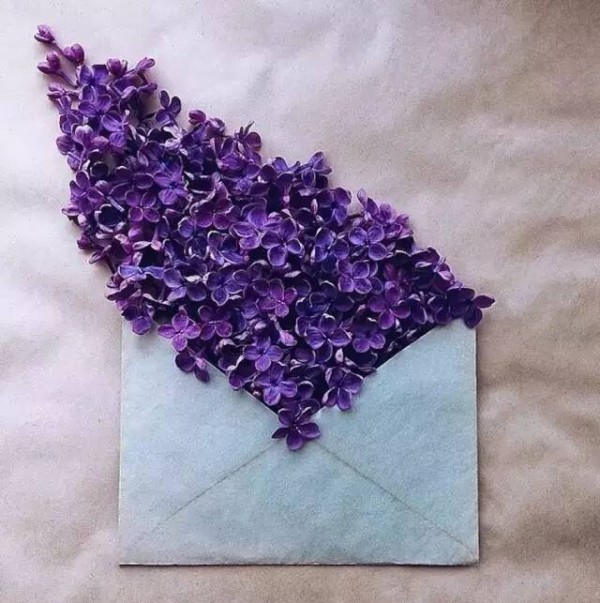 A piece of paper and a few flowers give you the most beautiful love letter