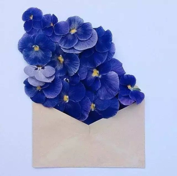 A piece of paper and a few flowers give you the most beautiful love letter