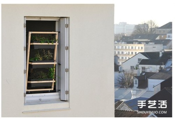 Modify the movable window sill to make the green potted plant the most special window