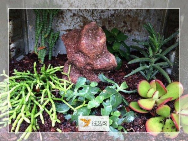 How to repurpose old oven waste into garden bonsai