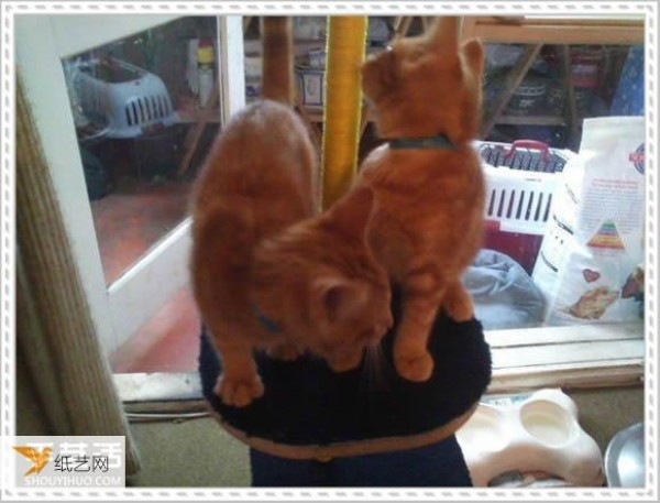 Tutorial on how to make your own personalized cat climbing frame