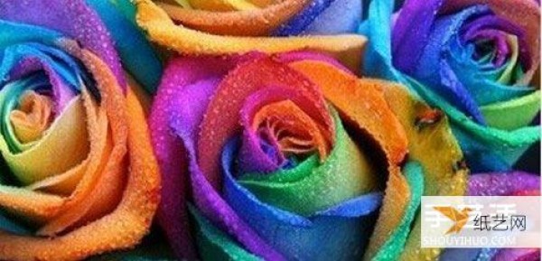 Tutorial on how to make personalized rainbow roses using the siphon principle