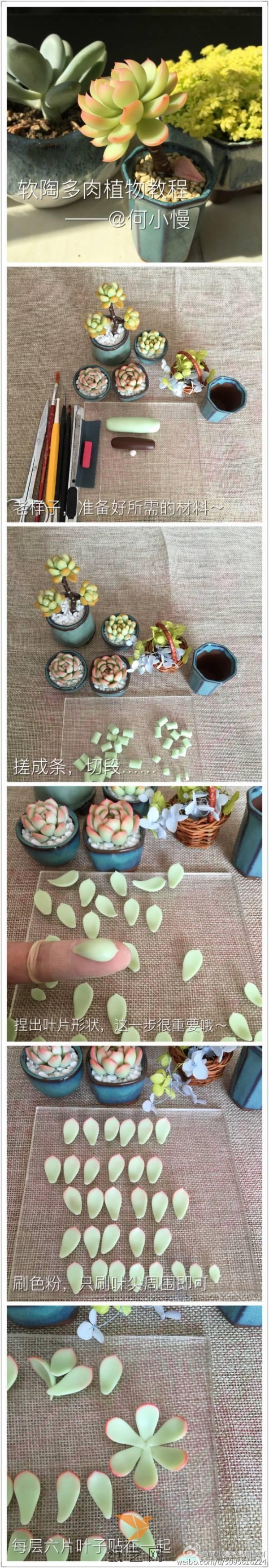 He Xiaoman’s succulent clay tutorial is here! ! !