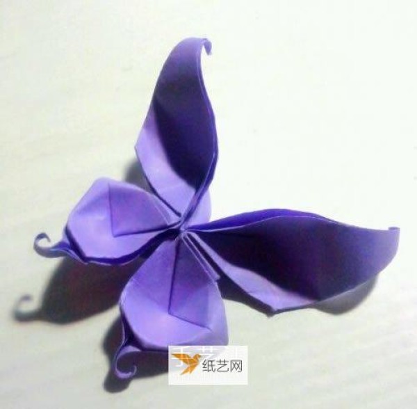 Illustrated tutorial for hand folding origami swallowtail butterfly