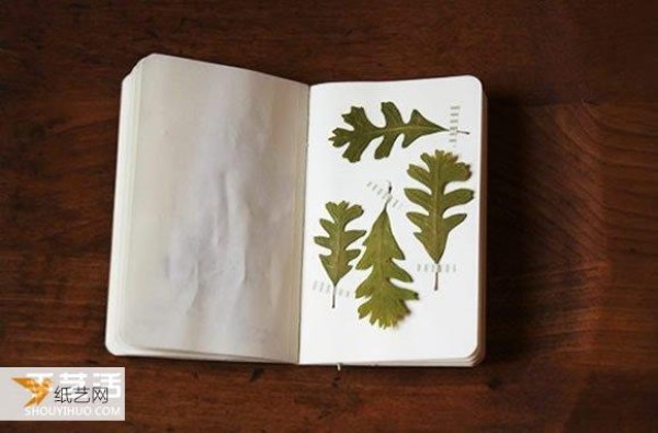 Appreciate the pictures of the completed individual handmade plant specimens full of forest flavor