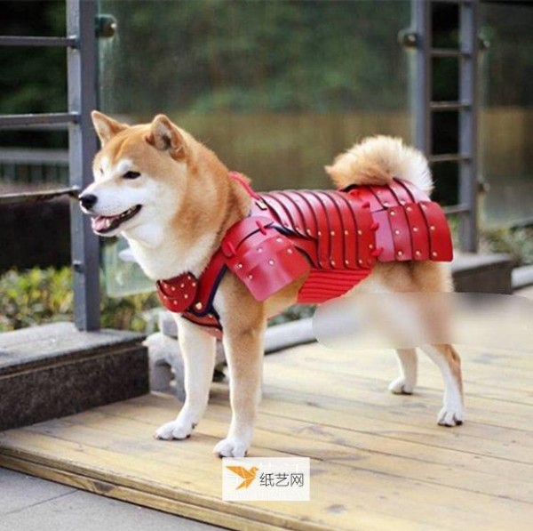 Use samurai armor to transform cute cats and dogs into handsome samurai adults