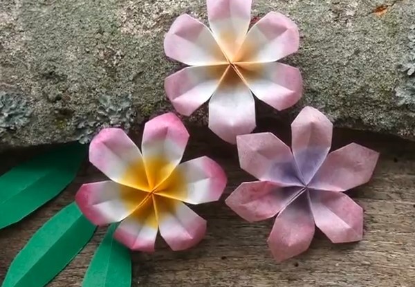 The latest creative six-petal origami flower origami video tutorial