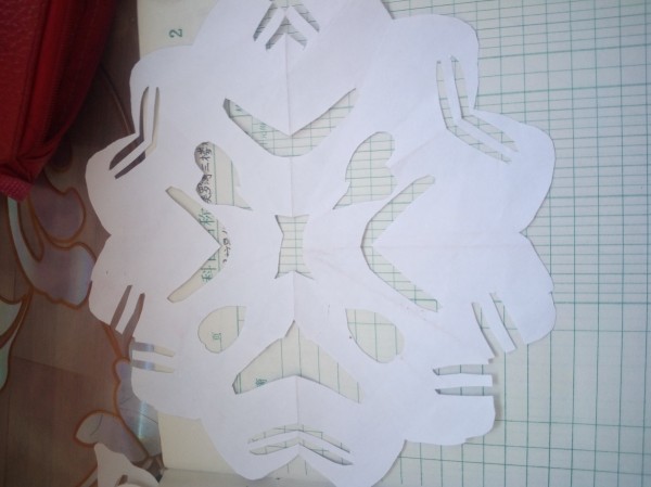 Our beautiful paper cuts