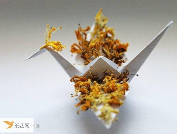 Artist implements one-day origami crane plan to fold 365 different shapes