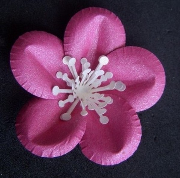 Simple and creative DIY tutorial for making paper flowers by hand using a flower maker